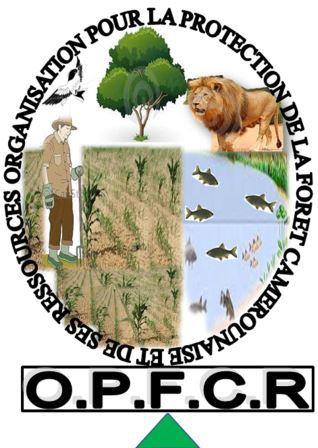 O.P.F.C.R (Organisation pour la Protection de la Forêt Camerounaise et de ses Ressources)